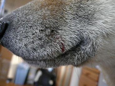 c0123890_202539.jpg