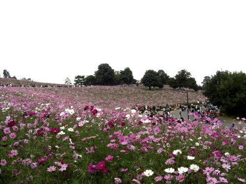 c0106491_1232407.jpg