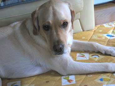 c0028792_23315672.jpg