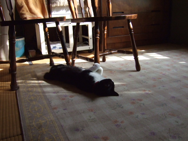 c0150193_20512241.jpg