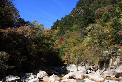 f0103797_10293862.jpg