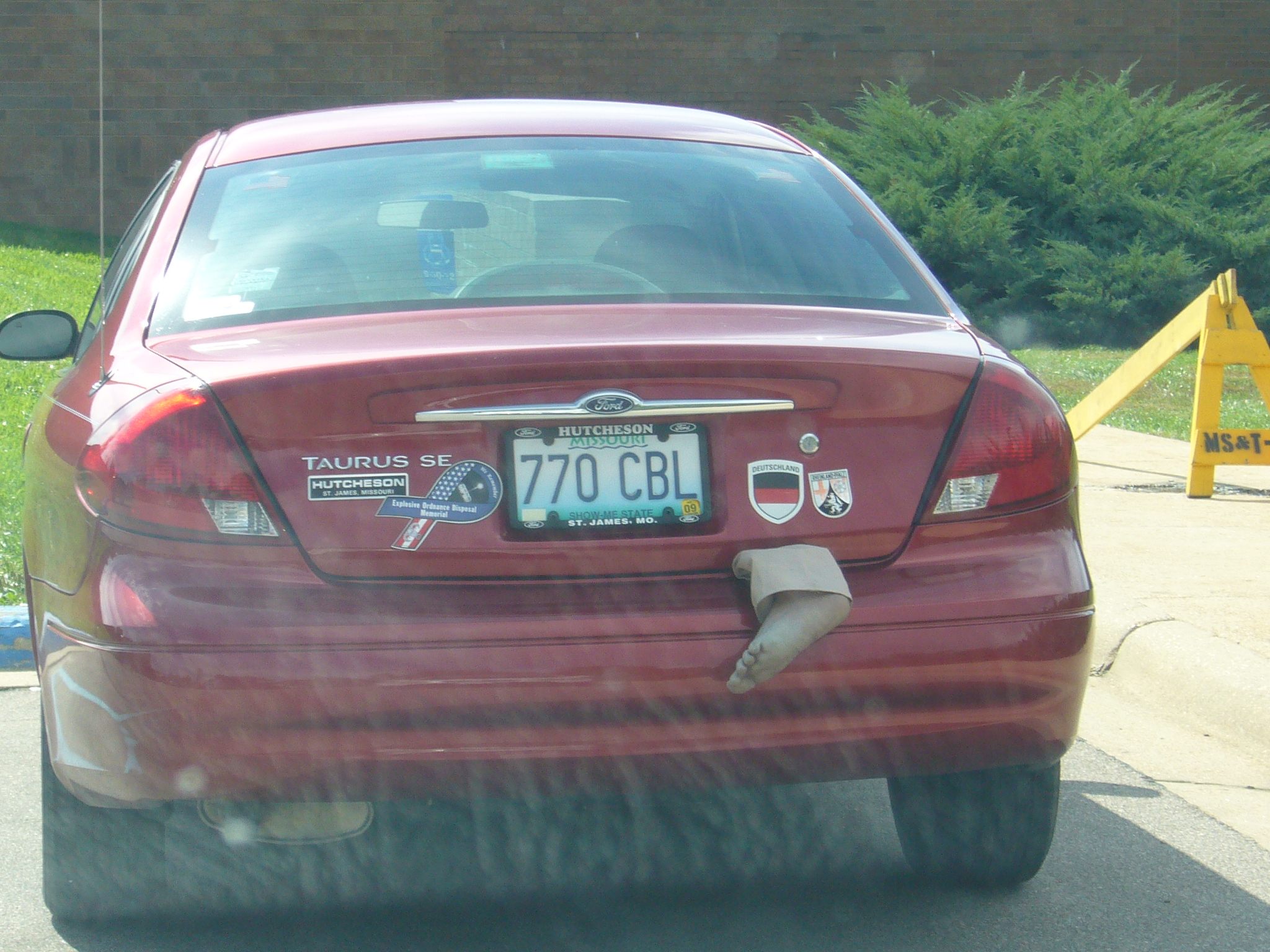 f0169397_9135788.jpg
