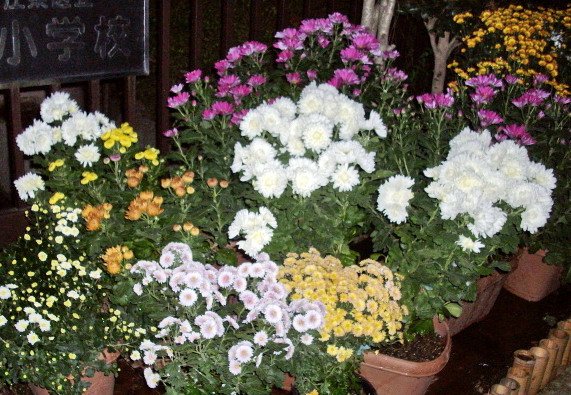 c0138198_15124857.jpg