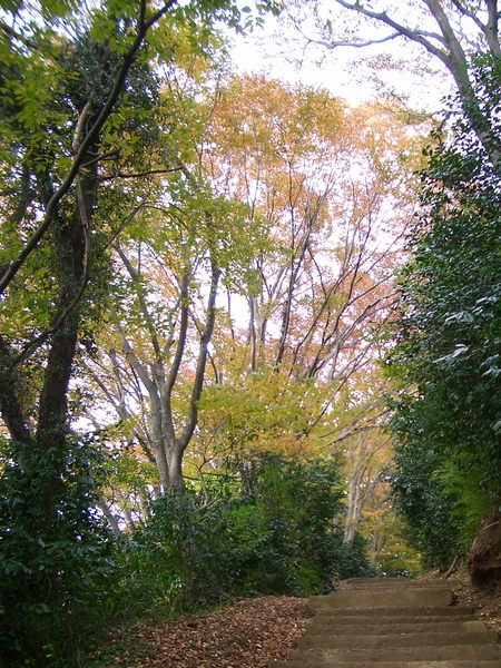 d0069498_1833561.jpg