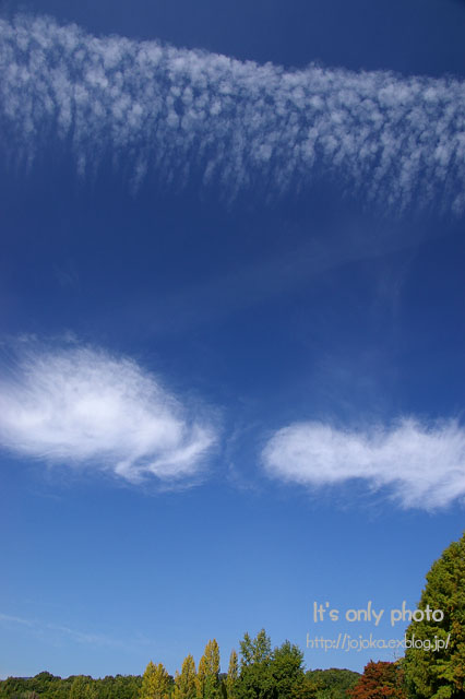 e0008800_1655025.jpg