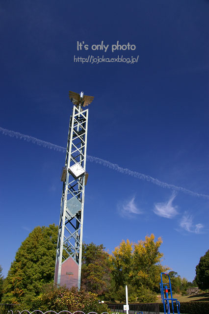 e0008800_1662459.jpg