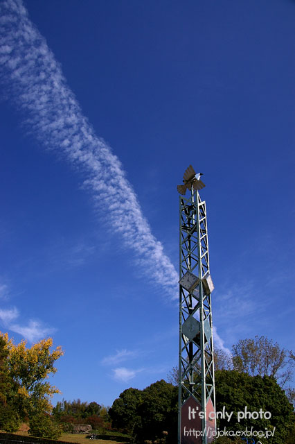 e0008800_166834.jpg
