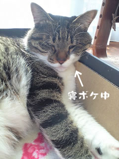 c0035001_14422879.jpg