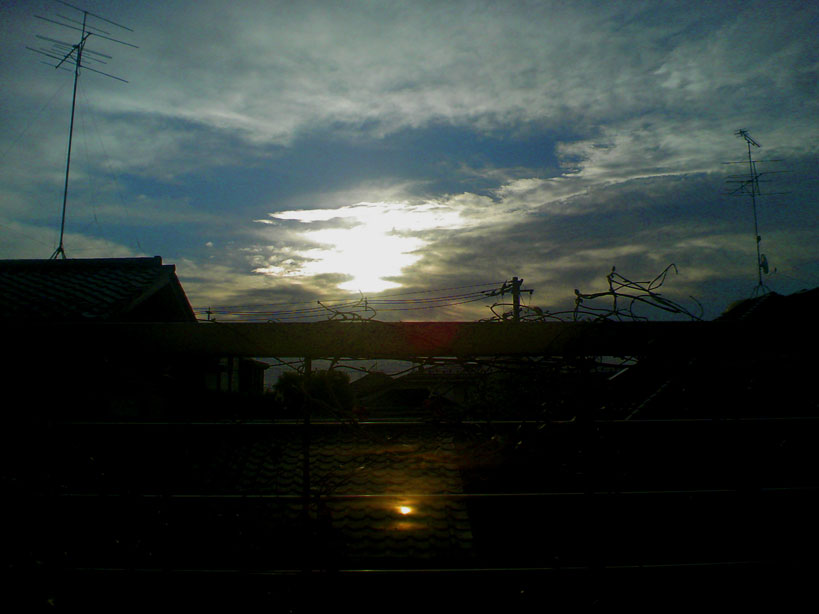 b0060102_5323396.jpg