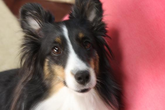e0130008_20113443.jpg