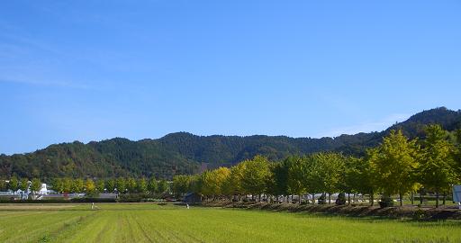 e0033713_1801322.jpg
