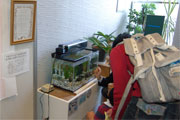 f0191517_15574995.jpg