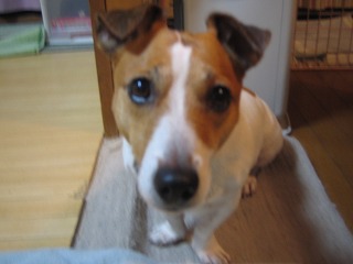 e0121418_1263062.jpg