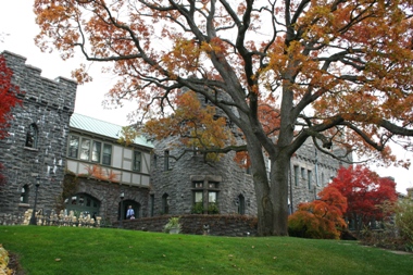 f0151222_414841.jpg