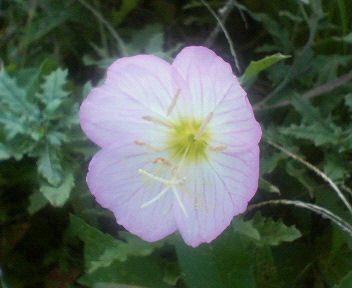f0036223_17195260.jpg