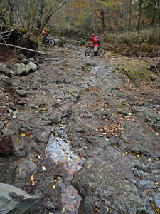 d0023725_18105564.jpg