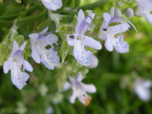 d0127926_2071969.jpg