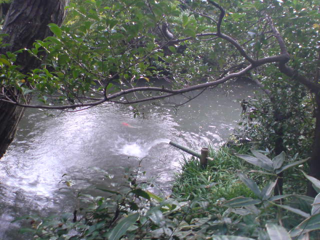 e0016828_2126080.jpg