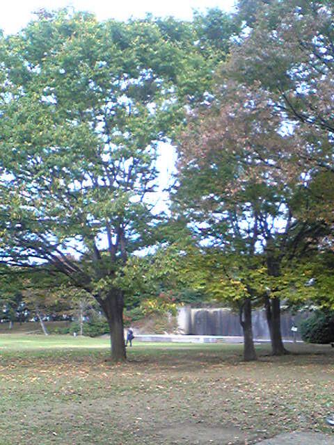 e0121228_102452.jpg