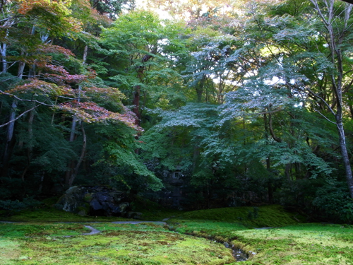 c0077129_112218.jpg