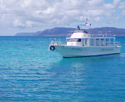 a0070831_9521137.jpg