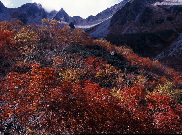 d0091834_19432252.jpg