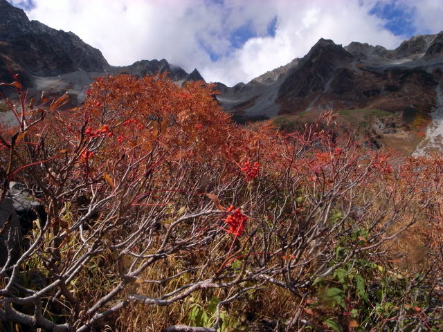 d0091834_19441558.jpg