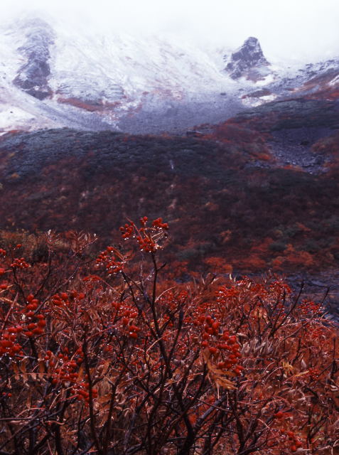 d0091834_1944464.jpg