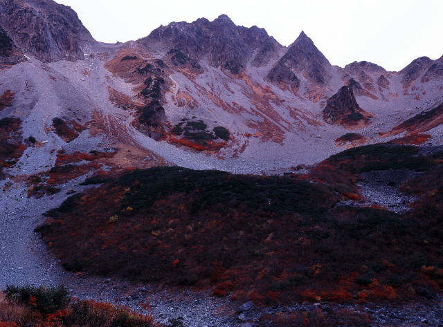 d0091834_1947568.jpg