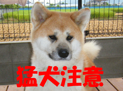 f0008935_1101162.gif