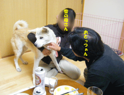 f0008935_9471097.gif