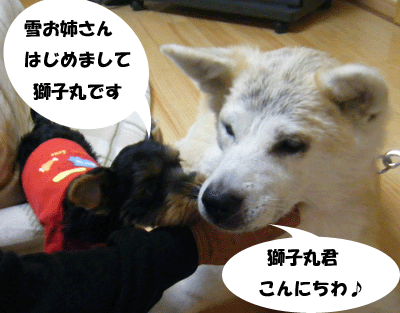 f0008935_9484650.gif