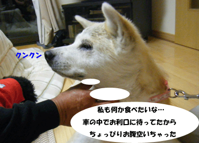 f0008935_949372.gif