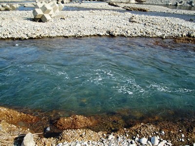 e0119840_20162025.jpg