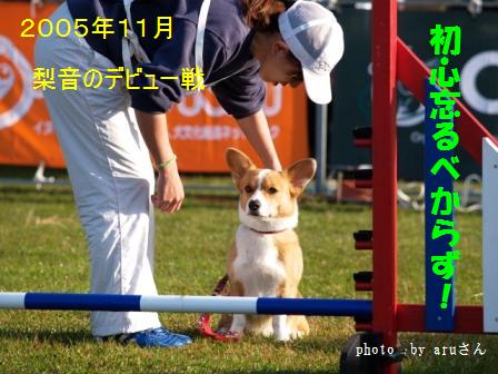 d0081541_22133151.jpg