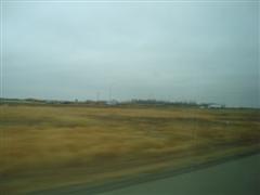 e0155643_3502237.jpg