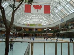 e0155643_3522849.jpg
