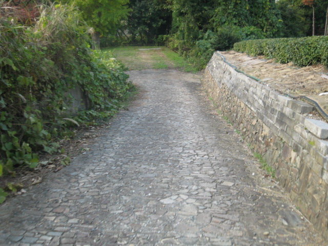 e0134549_14561932.jpg