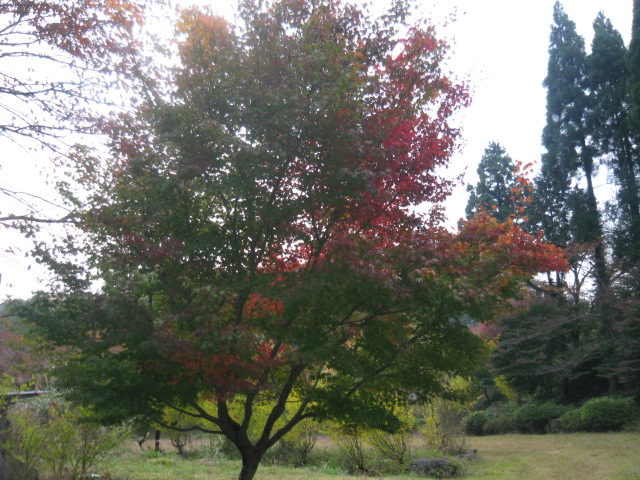e0134549_1458248.jpg