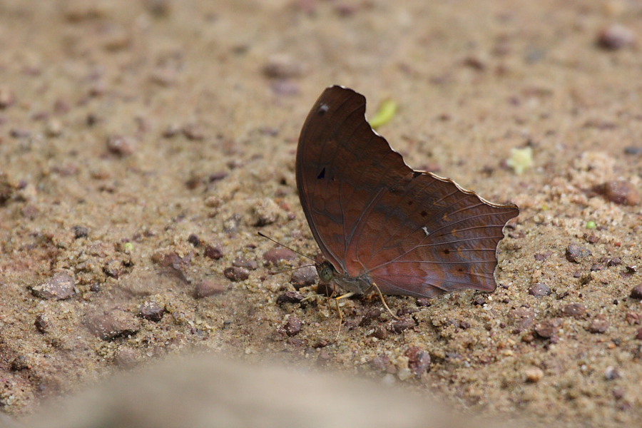 a0094850_211647.jpg