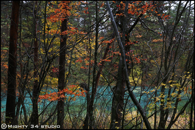 f0006253_17043.jpg