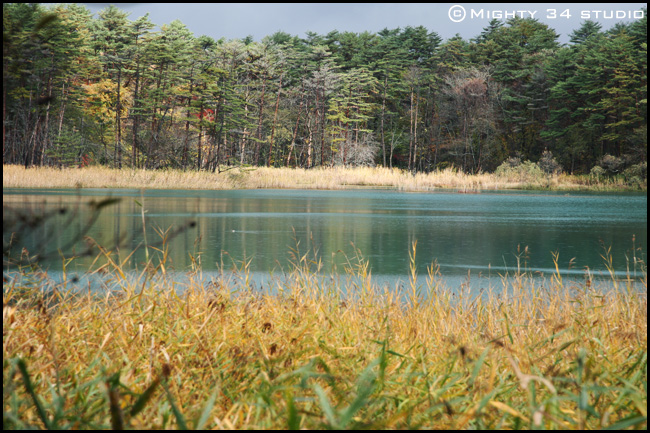 f0006253_1704336.jpg