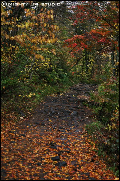 f0006253_1711510.jpg