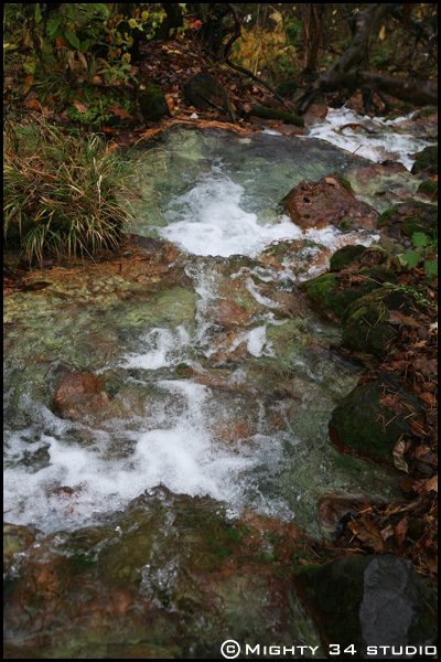 f0006253_171170.jpg