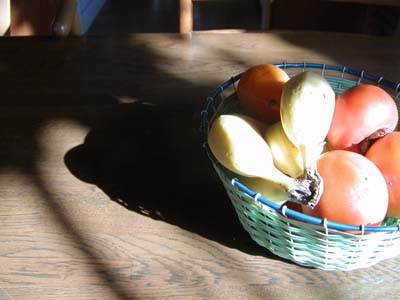 f0168256_155152.jpg