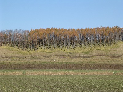 b0120159_2040254.jpg