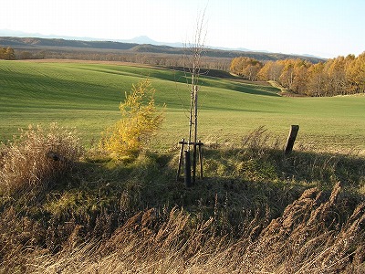 b0120159_21122298.jpg