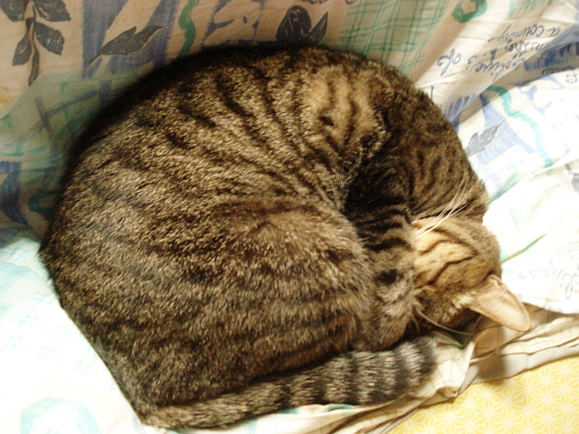 f0132565_9254172.jpg