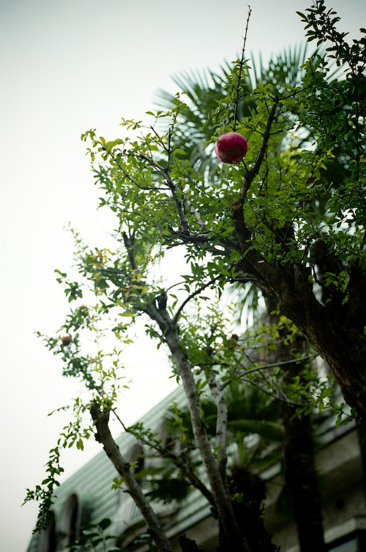 c0084666_2017285.jpg