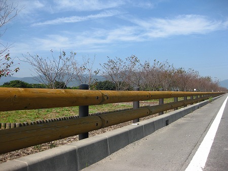 f0195767_9384480.jpg
